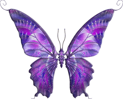 All  my butterflys - nemokama png