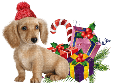 Kaz_Creations Christmas Dog Pup Dogs Colours - PNG gratuit