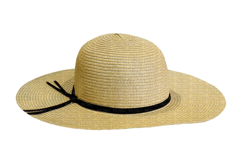 MMarcia chapéu palha  chapeau hat - gratis png