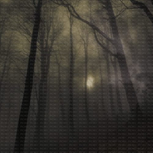 Gothic.Forest.Forêt.Landscape.gif.Victoriabea - Bezmaksas animēts GIF