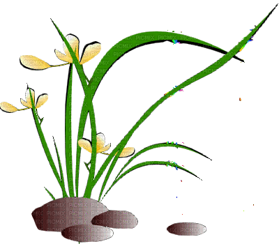 plants katrin - Free animated GIF