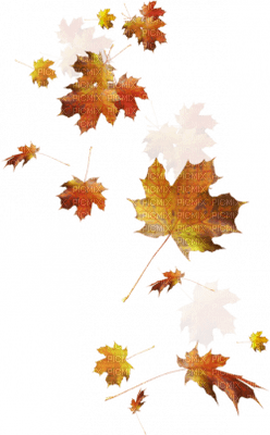 AUTUMN LEAVES DECO automne feuilles 🍁🍁 - Free PNG