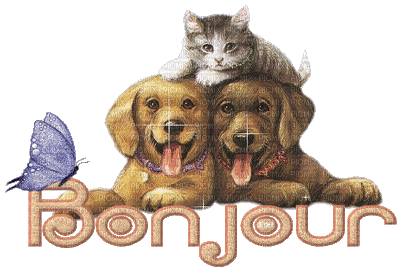 bonjour les amis(es) - Animovaný GIF zadarmo