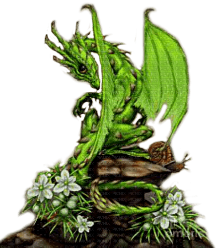 green dragon by nataliplus - nemokama png