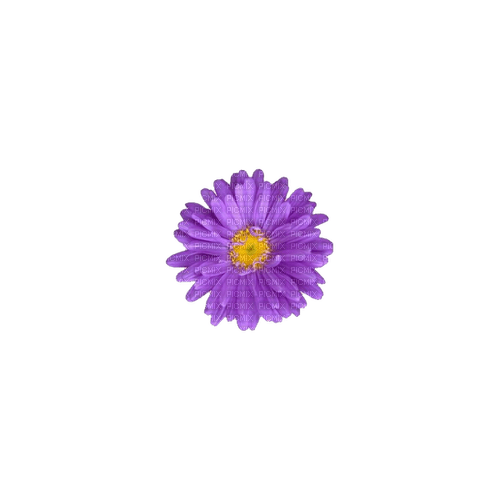 kikkapink deco scrap purple flower - Free PNG