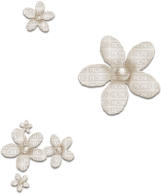 soave deco flowers scrap pearl white sepia - PNG gratuit