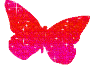 butterflies katrin - GIF animasi gratis