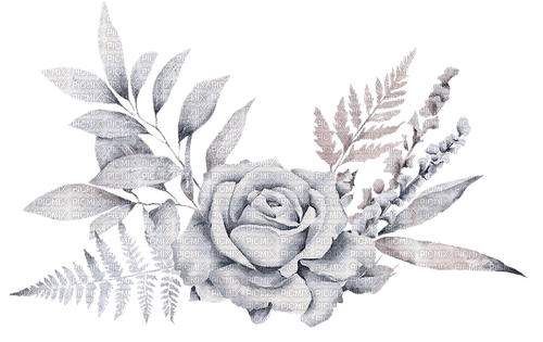kikkapink deco flower rose - PNG gratuit