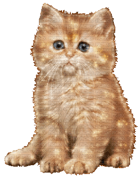 Vanessa Valo _crea=sweet cat glitter - Bezmaksas animēts GIF