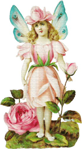 Flower Fairy - nemokama png