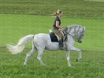 woman with horse bp - Ingyenes animált GIF