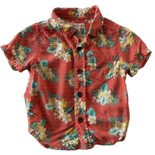 red hawaiian shirt by cat and jack - png grátis