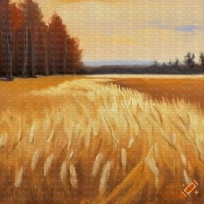 Wheat Field by Forest - gratis png