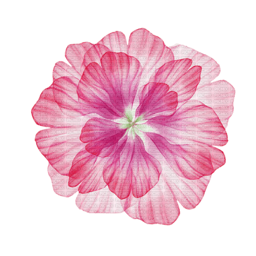 pink flower Bb2 - 免费PNG