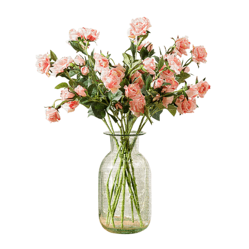 Flowers pink - darmowe png