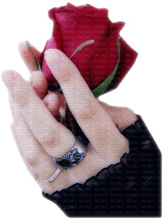 mano con su rosa - безплатен png