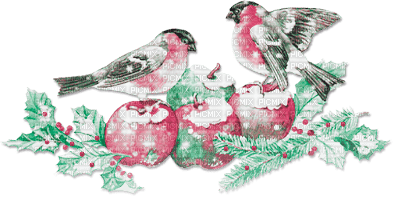 soave deco christmas winter vintage apple - PNG gratuit
