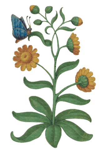 yellow flower illustration - darmowe png