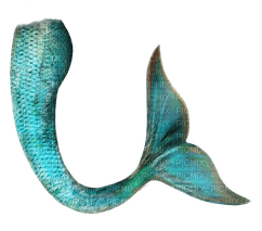 mermaid tail merenneito pyrstö - png gratis