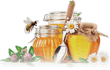 soave deco scrap  honey bee - zdarma png