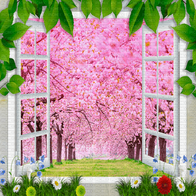 Y.A.M._Summer spring, window flowers background - PNG gratuit