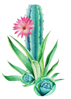 kikkapink deco summer tropical flowers cactus - gratis png