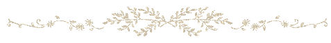 white sparkle divider - Nemokamas animacinis gif