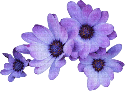 purple-flower-lila-minou52 - 免费PNG