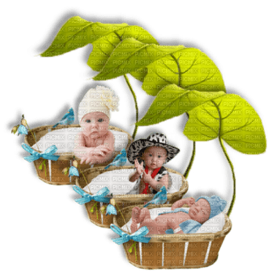 cecily-paniers bebes - 免费PNG