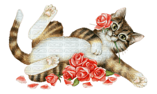 Kaz_Creations Deco Flowers Flower Colours Cat Kitten - gratis png