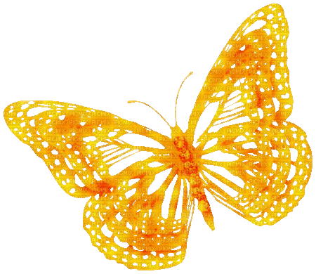 Animated.Butterfly.Orange - KittyKatLuv65 - Free animated GIF