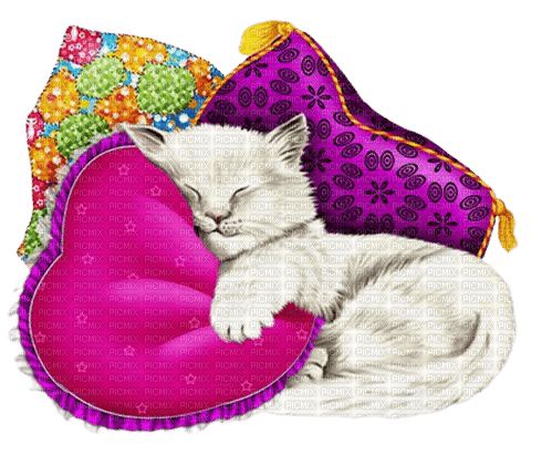 kikkapink cat sleep deco vintage - Free PNG
