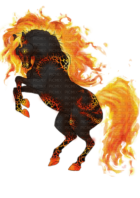 fire h - zdarma png