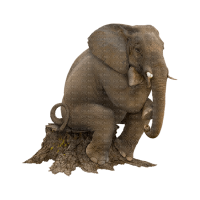 elephant bp - PNG gratuit