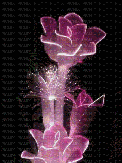 Roses Animées - Δωρεάν κινούμενο GIF