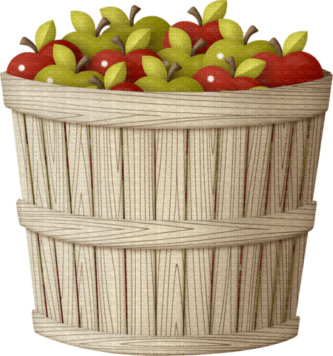 Basket-RM - darmowe png