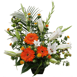 Kaz_Creations Deco Flowers Flower Vase  Colours - png ฟรี