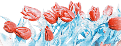 soave deco flowers tulips garden spring border - 免费PNG