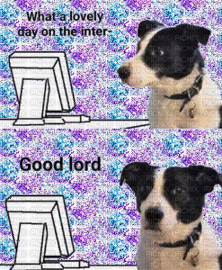 What a lovely day on the inter- Good lord - 免费动画 GIF