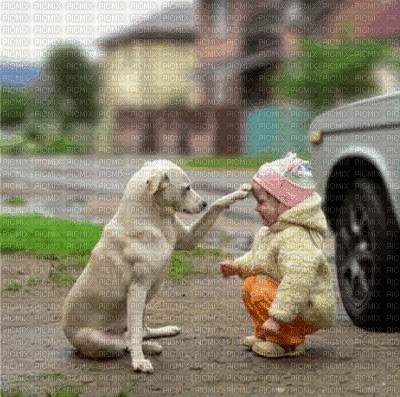 dog baby - GIF animado grátis