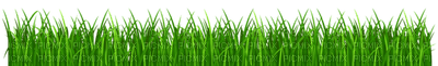 Kaz_Creations Garden-Deco-Grass - nemokama png