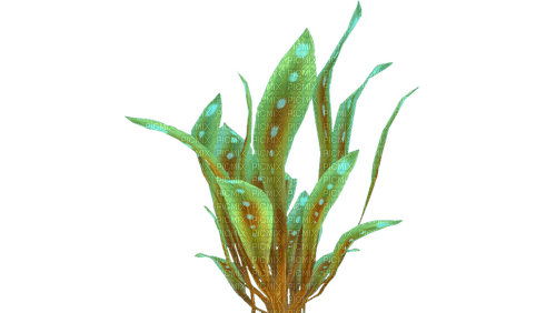 water plant - zadarmo png