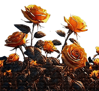 Flores rosas - png ฟรี