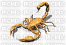 scorpion - Free animated GIF
