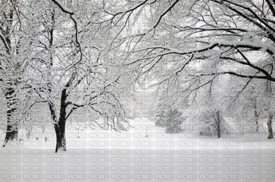 minou-winter-snow - ücretsiz png