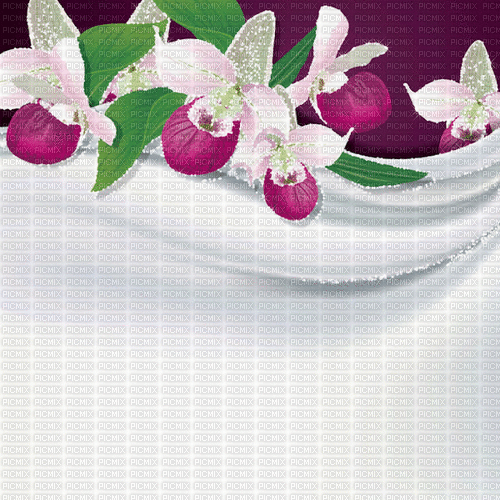 background hintergrund fondo flowers milla1959 - Gratis animeret GIF