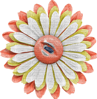 Flower Blume Button white yellow orange - безплатен png