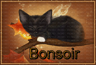 bonsoir - Kostenlose animierte GIFs