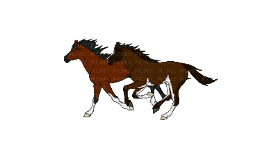 кони - Gratis geanimeerde GIF