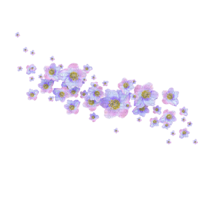 Flowers dm19 - δωρεάν png